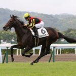ジャパンC3着のヴェルドライゼンデ、イーガンとの新コンビで日経新春杯へ