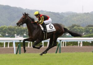 ジャパンC3着のヴェルドライゼンデ、イーガンとの新コンビで日経新春杯へ