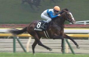 【競馬・香港カップ】ジャックドールは完全に藤岡で良かったよな