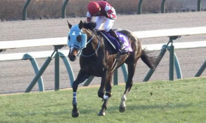 オジュウチョウサンの種牡馬入り　