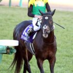 タイトルホルダー横山和生が謝罪「ファン投票1位の期待に応えられず申し訳ないです」