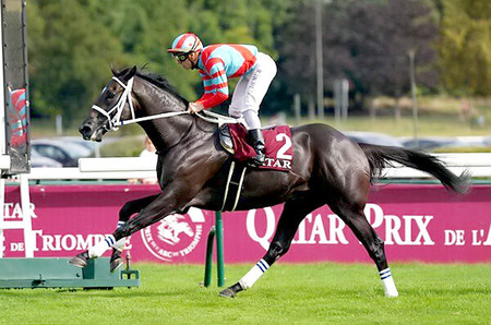 【有馬記念】ディープボンド陣営「不安要素がない」