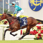 香港カップに出走した日本馬弱すぎwww