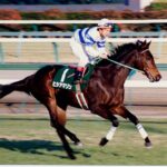 一番記憶に残っている有馬記念2着は?