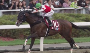 【競馬】ダイアトニック1400m（8-1-1-0）