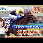 【3分でわかる】カネヒキリ・不屈のダートチャンピオン | JRA公式