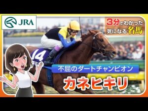 【3分でわかる】カネヒキリ・不屈のダートチャンピオン | JRA公式