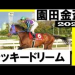 ラッキードリームが6馬身差の圧勝!【園田金盃2022】