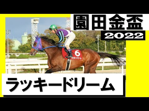 ラッキードリームが６馬身差の圧勝！【園田金盃2022】