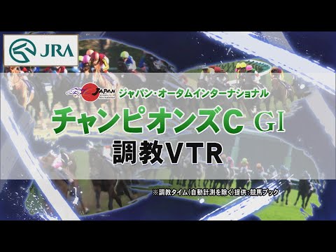 【調教動画】2022年 チャンピオンズカップ｜JRA公式