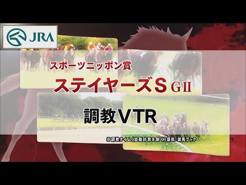 【調教動画】2022年 ステイヤーズステークス｜JRA公式