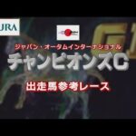【参考レース】2022年 チャンピオンズカップ|JRA公式