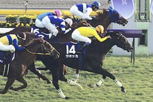 いい加減競馬でも馬の鼻先のICチップと、VAR判定導入しろよ