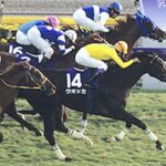 記憶をすべて消して初見の興奮を味わいたいレース