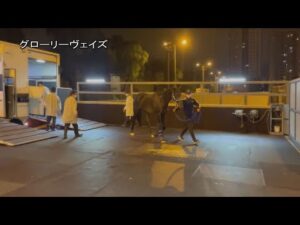 【2022香港国際競走】グローリーヴェイズなど日本馬6頭が香港に到着｜JRA公式