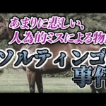 【競馬界の闇】生殖能力喪失、 ソルティンゴ事件とは