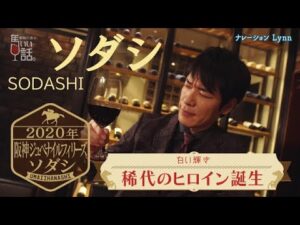 【白い輝き】稀代のヒロイン誕生「阪神ジュベナイルフィリーズ」【麒麟川島の馬いい話。】