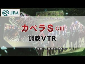 【調教動画】2022年 カペラステークス｜JRA公式