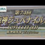 【レーシングプロファイル】2022年 阪神ジュベナイルフィリーズ｜JRA公式