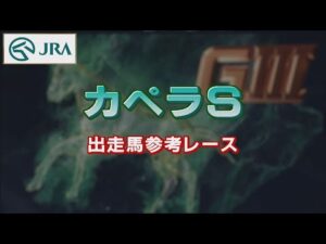 【参考レース】2022年 カペラステークス｜JRA公式