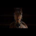 “The Legacy of Strength” JRA (日本語 ver.) | JRA公式
