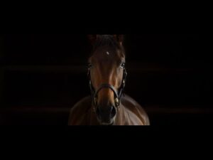 “The Legacy of Strength” JRA (日本語 ver.) | JRA公式