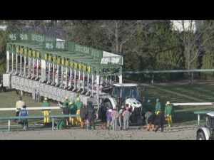 2022 ASAHI HAI FUTURITY STAKES (G1) | JRA Official