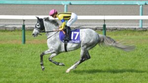 【ステイヤーズS】オルフェーヴル種牡馬大成功！！