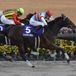 ジュンライトボルトは優先出走権を得た1着15億円のサウジカップを勝つことが出来るか