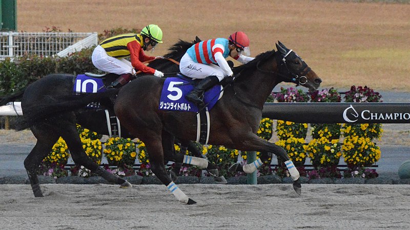 福永さんの教育馬がまたG 1勝ち