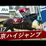 2017年 東京ハイジャンプ(J・GⅡ) | オジュウチョウサン | JRA公式