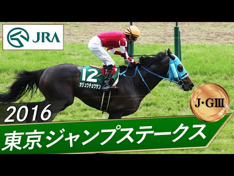 2016年 東京ジャンプS（J・GⅢ） | オジュウチョウサン | JRA公式