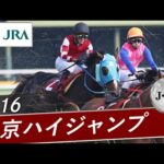 2016年 東京ハイジャンプ(J・GⅡ) | オジュウチョウサン | JRA公式