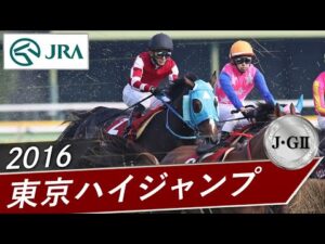 2016年 東京ハイジャンプ（J・GⅡ） | オジュウチョウサン | JRA公式