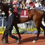 中山の芝1800だったらどの馬が一番強いんだ?