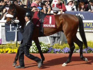 中山の芝1800だったらどの馬が一番強いんだ？