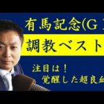 《有馬記念 調教ベスト3》調教が最も良かった馬は?競馬エイト・高橋賢司トラックマンが解説