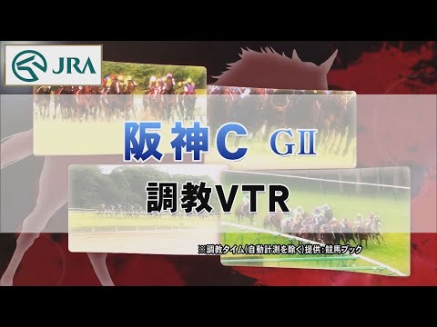 【調教動画】2022年 阪神カップ｜JRA公式