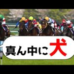 【競馬】笑ったら負けw生放送で起きた珍実況w