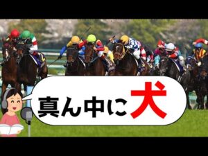 【競馬】笑ったら負けｗ生放送で起きた珍実況ｗ