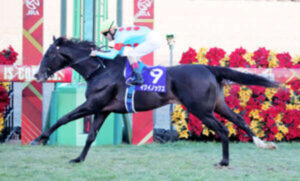 キタサンブラックの初年度産駒が年度代表馬