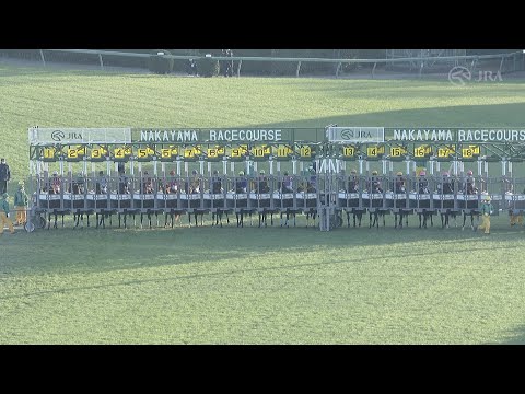 2022 HOPEFUL STAKES (G1) | JRA Official