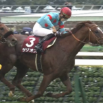 サリオス、社台SSで種牡馬入り