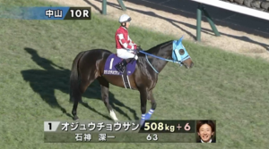 ●オジュウチョウサンお疲れ様