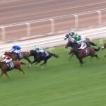 【香港ヴァーズ2022】結果・動画/ウインマリリンが差し切り悲願のG1初制覇
