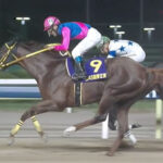 【競馬予想】[1]第68回東京大賞典/大井(GI)/2022