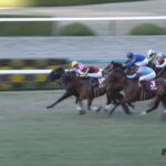 【阪神カップ2022】結果・動画/ダイアトニックが接戦を制す