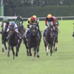 【競馬・香港ヴァーズ】ウインマリリン強すぎワロツァ!