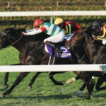 ヴェラアズール 松山で有馬記念へ