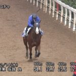 【ターコイズステークス2022】追い切り/動きを見極め勝利に近づけ